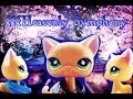 LPS:Heavenly Symphony [opening] 