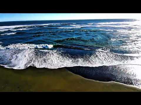Recorriendo Caleta La Barra 🇨🇱 | Playa, bosque y naturaleza en La Araucanía 🌲🌊☀️