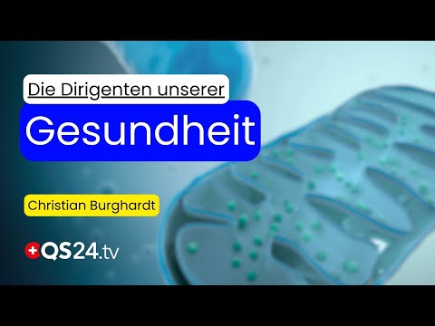 Mitochondrien – mehr als Energie: Die geheimen Dirigenten unserer Gesundheit | Naturmedizin | QS24