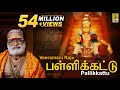 பள்ளிக்கட்டு | Evergreen Ayyappa Devotional Song | Sung by Veeramani Raju | Pallikkattu