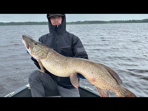 HAUEN TÄSMÄKALASTUSTA | ENKAT PAUKKUU