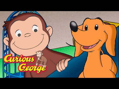 The Doggie Rescue Mission! 🐵 Curious George 🐵 Kids Cartoon 🐵 Kids Movies