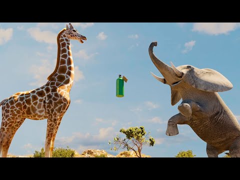 Elephant vs Giraffe Water Bottle Fight