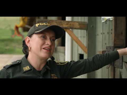 Los Andes Magicos 6 - Colombia, Montañas y Exuberante Vegetacion