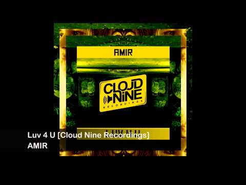 Amir - Luv 4 U