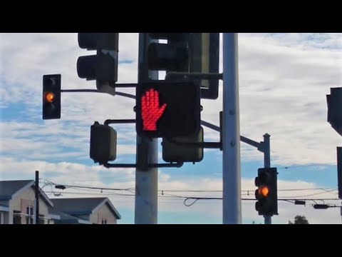 LED Countdown Pedestrian Signal (Fairmount Ave & Thorn St)
