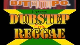 Dubstep meets Reggae new 2014 mix by Dj Tempo