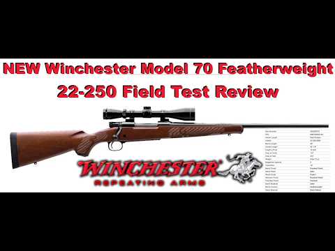 New Winchester Model 70 Featherweight 22-250 Field Test Review