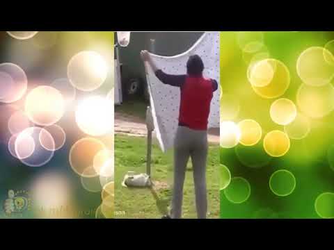 Fight (Dog and Crow)