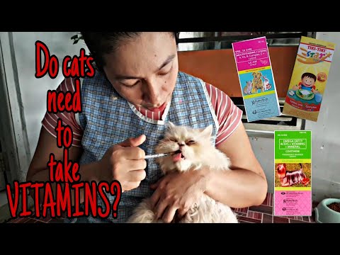 Do cats need to take vitamins?