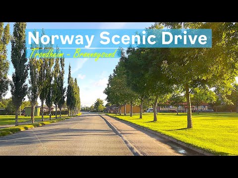Trondheim to Brønnøysund/Torghatten. Epic Norway Road Trip.