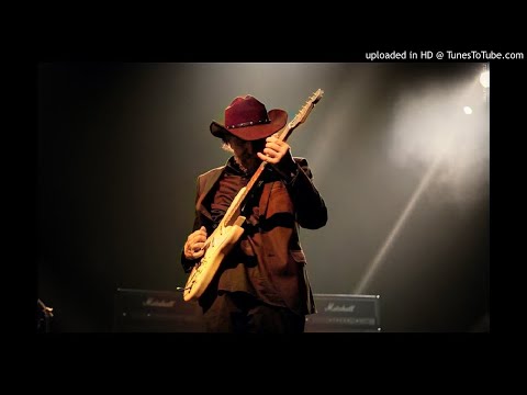 Radomir Mihajlović Točak  ► Organizam Blues [HQ Audio] 1976