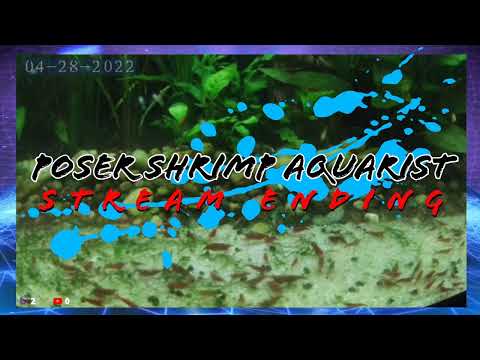 Star Wars : Jedi Knight Dark Forces II 1997 Round 1