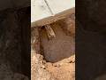 How To Install Drain Pipe Under Concrete Path (The RIGHT Way)