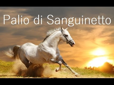 Il Palio di Sanguinetto di Verona 2014