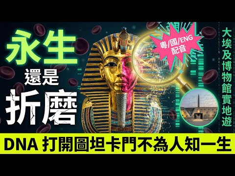 【古埃及懸案😱】大埃及博物館(GEM)實地直擊🇪🇬 圖坦卡門木乃伊被肢解？科學還原黃金面具下的歷史真相｜外星匕首、棺材失誤 | 5000件寶藏首度合體｜金字塔下的三千年歷史懸案 | 古埃及系列