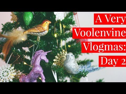 A Very Voolenvine Vlogmas: Day 2
