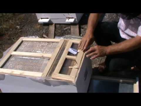 2. Beekeeping - Presentation of the new Bio Hive model - Prof. Ursu to an interested visitor 2/3