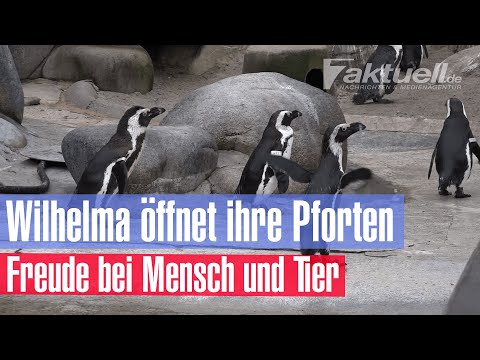 Stuttgarter Zoo öffnet nach vier Monaten wieder seine Pforten