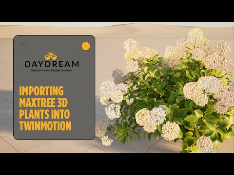 Twinmotion 2025: The Easiest Way to Import MaxTree Plants (Full Workflow)