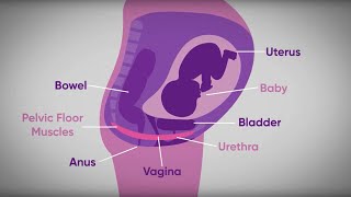 Pelvic floor exercises during pregnancy | txt4two Program  | Mater Mothers