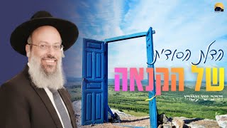 פרשת ויגש | ישיבה או צבא | קנאה זה לא חולשה ᴴᴰ (הרב שי עטרי) - התמונה מוצגת ישירות מתוך אתר האינטרנט יוטיוב. זכויות היוצרים בתמונה שייכות ליוצרה. קישור קרדיט למקור התוכן נמצא בתוך דף הסרטון