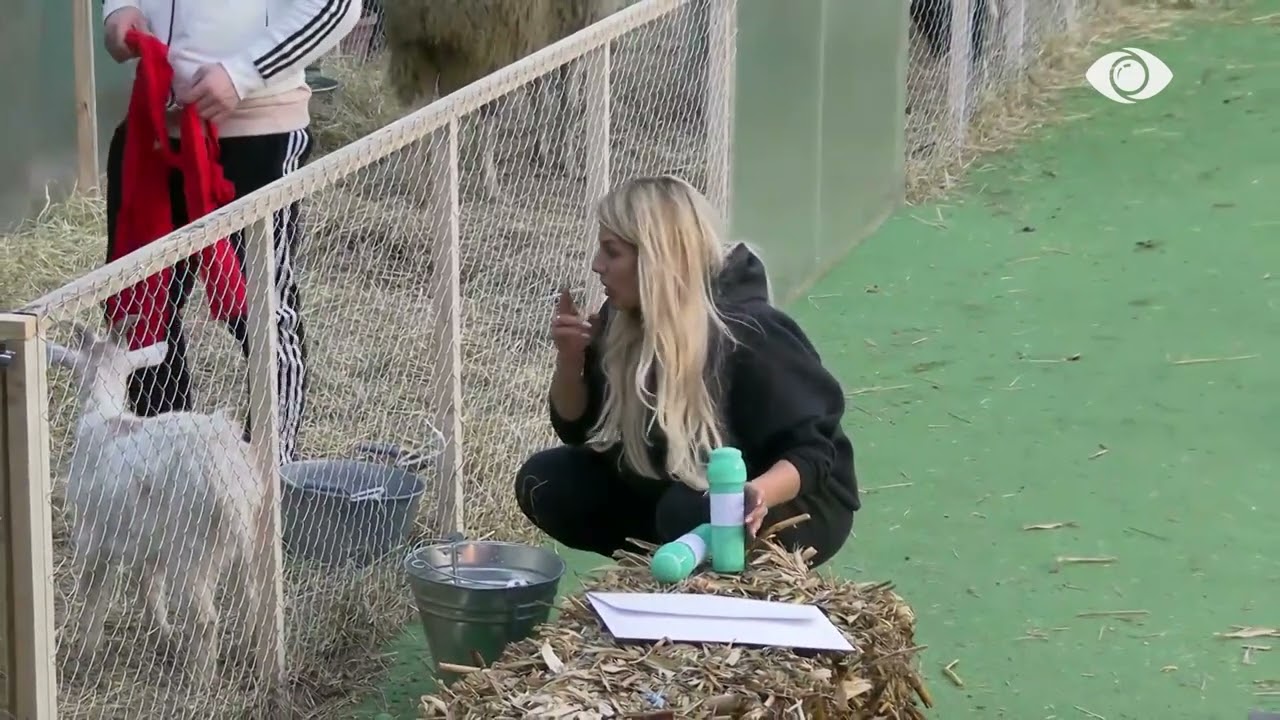 Sara, Bardhi dhe Heidi i recitojnë pulës: Bëri vezë, funksionoka…