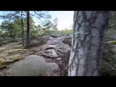 Vårtur Kråkerøy 😃