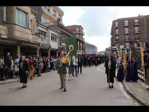 Procesión de la Borriquilla en Vitigudino