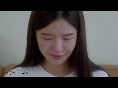 비디오 8