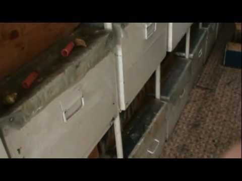 3/3 Analizam 3 familii de albine la vagonul scoala - criterii evaluare matci - apicultura incepatori