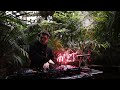 MLT - Live @ Kharkiv botanical garden [Afro House, Melodic Techno DJ Mix]