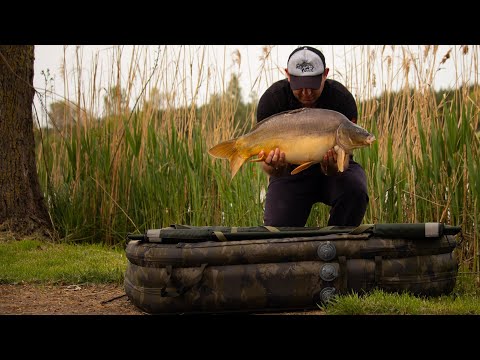 Palic lake, carpfishing in Serbia