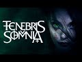 Gameplay video of Tenebris Somnia  PC