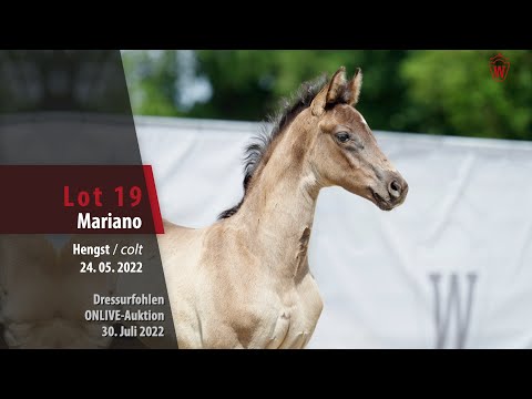 OnLive-Auktion Lot 19 Mariano Hengst v. Morricone I -  Fantastic