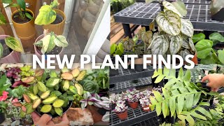 😲Plant Shopping Surprise: New Finds at the Nursery! 🪴