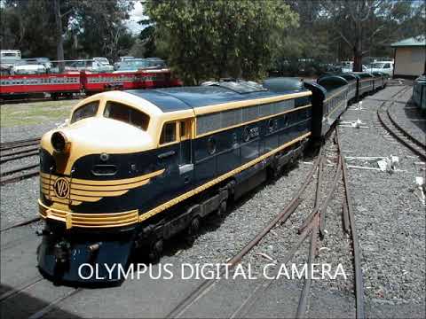 S301 - a DVR locomotive