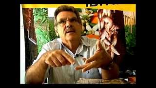 Miniatura do vídeo