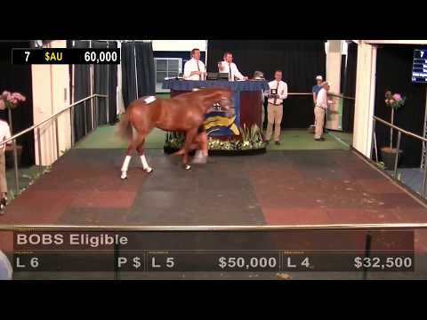 2018 Perth Yearling Sale - Day 1 (Live Stream Archive)