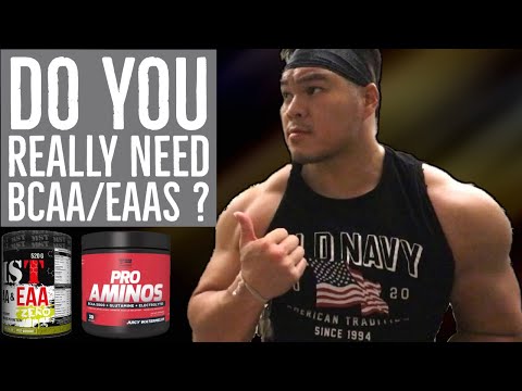 When should you use EAAs & BCAAs ?
