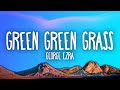 George Ezra - Green Green Grass