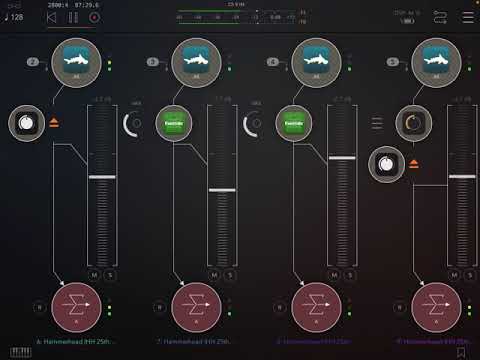 AUM Groovebox blocswave and hammerhead