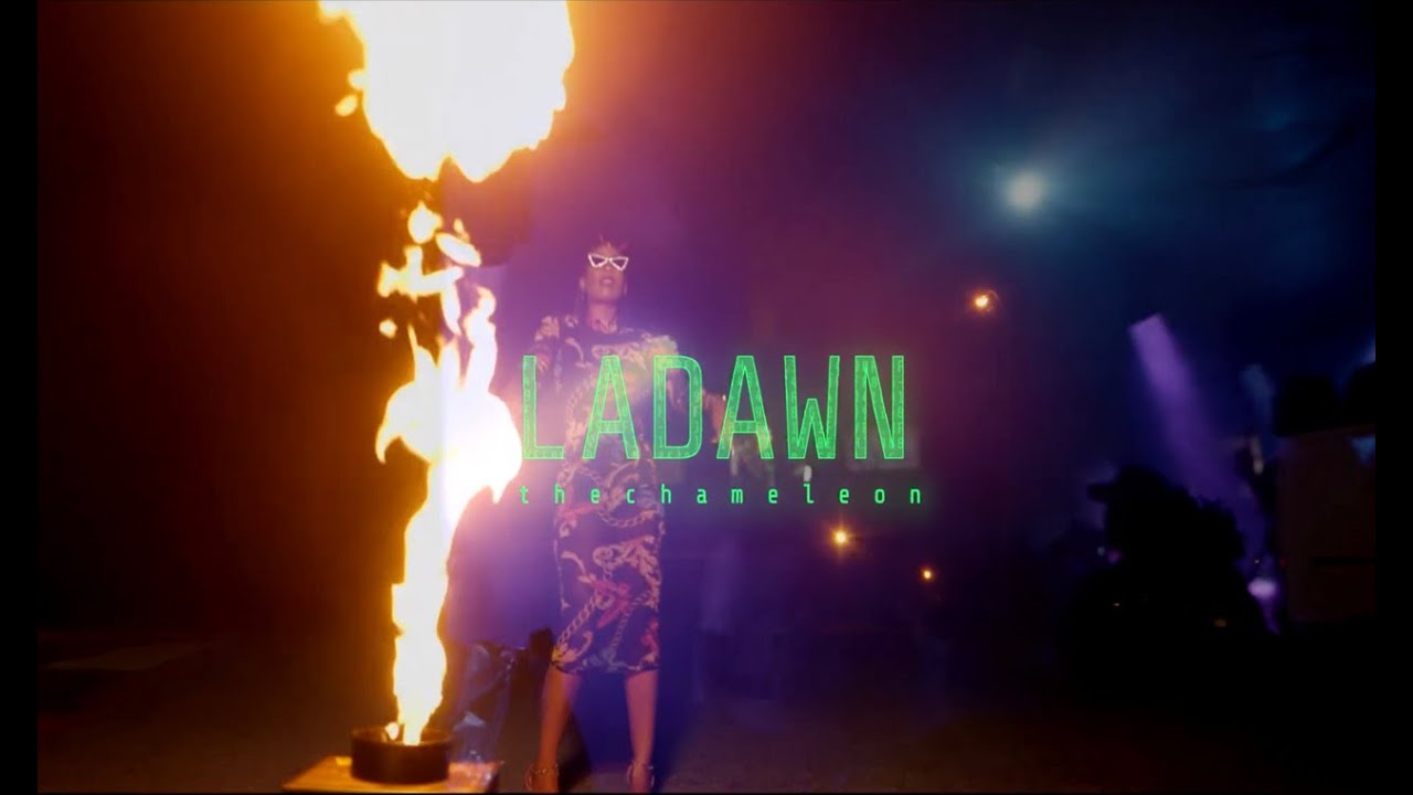 Promotional video thumbnail 4 for LaDawnTheChameleon