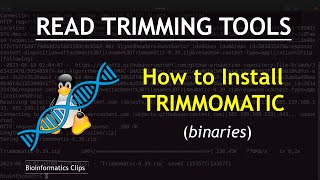 How to Install Trimmomatic for Read Trimming