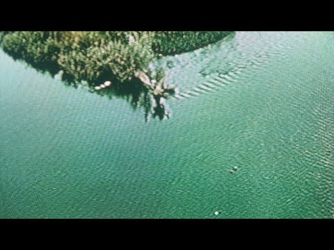 T.RAUMSCHMIERE - ETERNA