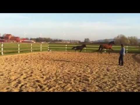 2012-03-26 Mali und Anton III