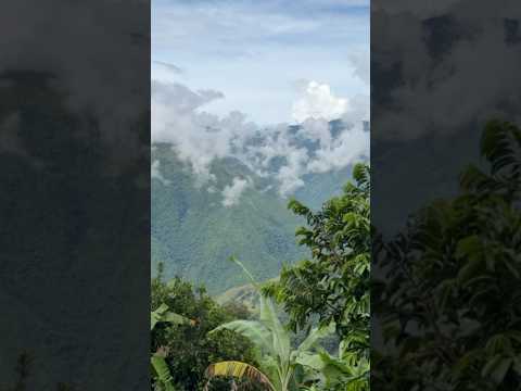 “¿Un sancocho trifásico en plena fiesta campesina? Solo en Toledo 🔥🇨🇴” #medellin #turismo #travel