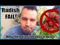 My Radishes are Not Growing