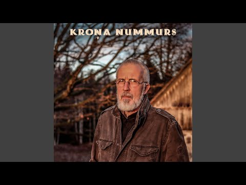 Ķīnas zilās lupatiņas