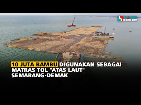 10 Juta Bambu Digunakan sebagai Matras Tol "Atas Laut" Semarang-Demak